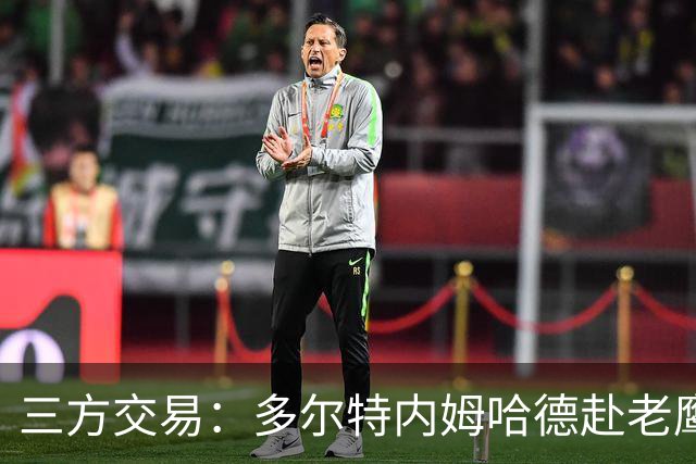三方交易：多尔特内姆哈德赴老鹰 雷霆获3次轮签 独行侠获里萨谢