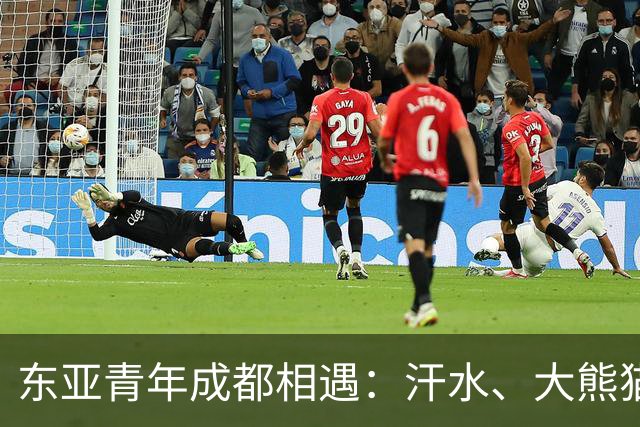 东亚青年成都相遇：汗水、大熊猫与友谊