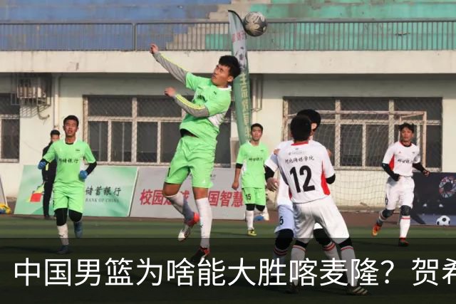 中国男篮为啥能大胜喀麦隆？贺希宁忍不住说出心里话，说得很实在