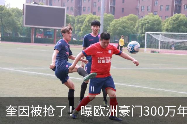 奎因被抢了！曝欧洲豪门300万年薪强行挖人，广东队惨遭重大打击