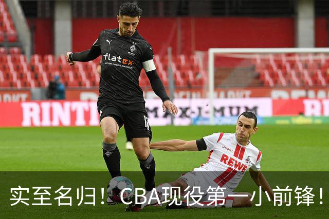 实至名归！CBA现役第一小前锋！张镇麟这也太强了！