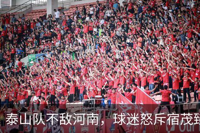 泰山队不敌河南，球迷怒斥宿茂臻滚回青岛，他只是泰山乱象背锅侠